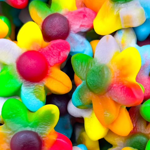 Fleur multicolore lisse - 100g